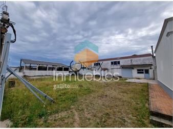 https://www.gallito.com.uy/local-galpon-en-venta-alquiler-centro-maldonado-inmuebles-27490309