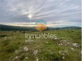 https://www.gallito.com.uy/venta-campo-261-hectareas-ruta-12-maldonado-inmuebles-25743222