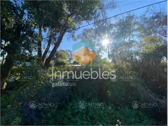 https://www.gallito.com.uy/venta-terreno-450m2-cerca-del-mar-balneario-inmuebles-25835059