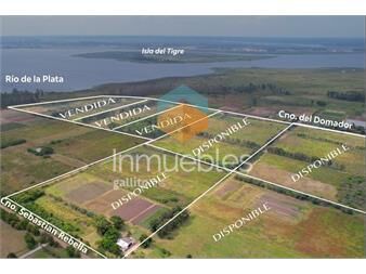 https://www.gallito.com.uy/campo-en-venta-fraccionado-con-costa-al-rio-de-la-plata-inmuebles-25161213