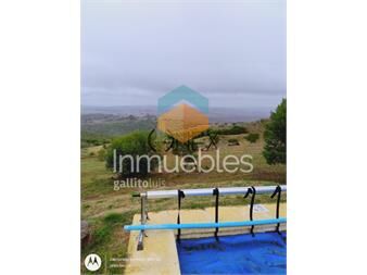 https://www.gallito.com.uy/oportunidad-de-venta-o-permuta-de-chacra-en-inmuebles-27307434