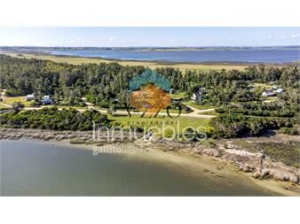 https://www.gallito.com.uy/lote-en-venta-santa-monica-jose-ignacio-de-inmuebles-26496112