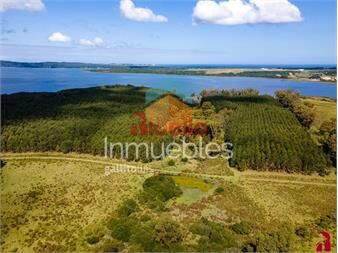 https://www.gallito.com.uy/chacras-en-venta-con-costa-a-laguna-del-sauce-inmuebles-25793839