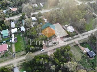 https://www.gallito.com.uy/venta-terreno-sauce-de-portezuelo-punta-ballena-inmuebles-27503461