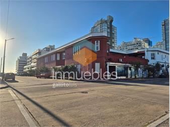 https://www.gallito.com.uy/departamento-en-venta-para-renta-en-punta-del-este-inmuebles-27503698