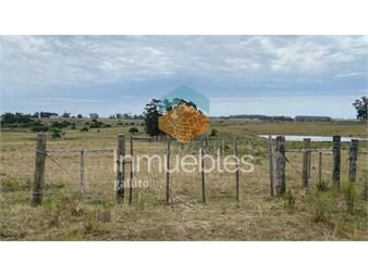 https://www.gallito.com.uy/campo-ganadero-agricola-inmuebles-27503460