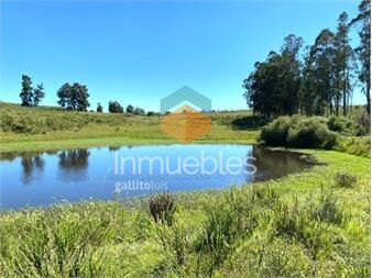 https://www.gallito.com.uy/campo-en-venta-proximo-a-garzon-y-jose-ignacio-inmuebles-27503708