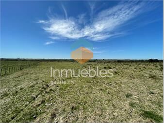 https://www.gallito.com.uy/campo-19-hectareas-ruta-39-san-carlos-maldonado-inmuebles-27503722