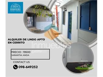 https://www.gallito.com.uy/alquilo-lindo-y-acogedor-apto-ubicado-en-cerrito-inmuebles-27503752
