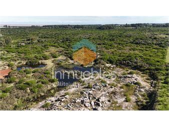 https://www.gallito.com.uy/chacra-en-colonia-inmuebles-27509931