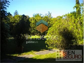https://www.gallito.com.uy/amplio-terreno-con-construccion-en-venta-proximo-a-zonameri-inmuebles-27510034