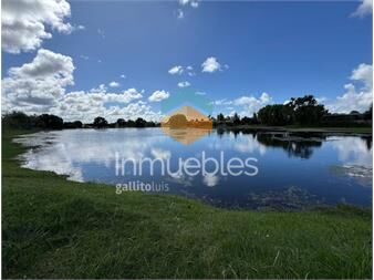 https://www.gallito.com.uy/venta-terreno-en-viñedos-de-la-tahona-al-lago-inmuebles-27037399