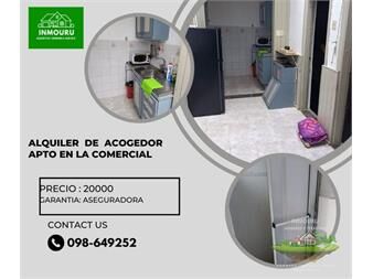 https://www.gallito.com.uy/alquilo-acogedor-apto-en-la-comercial-inmuebles-27510280