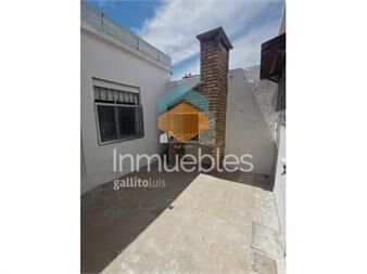 https://www.gallito.com.uy/v341-alquiler-apto-1dormbuceo-parrillero-en-el-patio-inmuebles-27503373