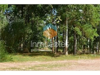 https://www.gallito.com.uy/apartamento-de-tres-dormitorios-en-alquiler-en-haras-del-la-inmuebles-27510442