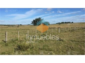https://www.gallito.com.uy/hermosa-chacra-10-hectareas-en-camino-de-los-inmuebles-25643611