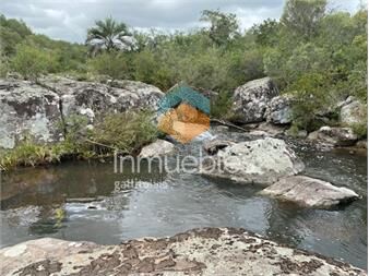 https://www.gallito.com.uy/7-chacras-de-5-has-cada-una-a-20-km-de-aigua-por-inmuebles-25347916