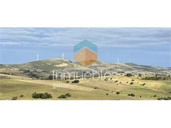 https://www.gallito.com.uy/86-has-en-zanja-de-chavez-inmuebles-25573802
