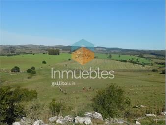 https://www.gallito.com.uy/atencion-inversores-campo-262-has-pueblo-apto-inmuebles-25719988