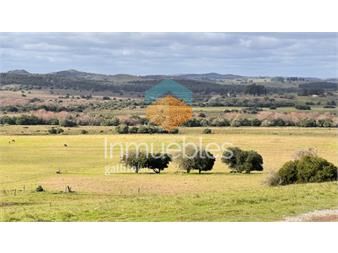 https://www.gallito.com.uy/campo-57-has-agricola-ganadero-cerca-de-minas-inmuebles-25703623