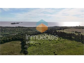 https://www.gallito.com.uy/chacra-en-colonia-inmuebles-27510546