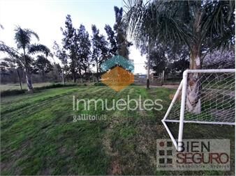 https://web5.gallito.com.uy/chacra-de-3has-con-casa-en-venta-en-melilla-inmuebles-27510588