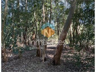 https://www.gallito.com.uy/en-venta-terreno-la-juanita-jose-ignacio-inmuebles-27511004