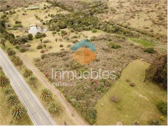 https://web5.gallito.com.uy/hermoso-y-amplio-terreno-sobre-ruta-1-inmuebles-27510192