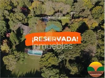 https://www.gallito.com.uy/chacra-en-venta-en-cerrillos-con-casco-antiguo-inmuebles-27297007