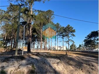 https://www.gallito.com.uy/venta-terreno-montes-de-solymar-uss-14000-de-de-inmuebles-27485244