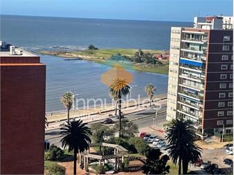 https://www.gallito.com.uy/alquiler-monoambiente-pocitos-prox-rambla-pza-gomensoro-inmuebles-27518521