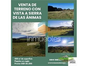 https://web5.gallito.com.uy/venta-de-terreno-rural-en-pan-de-azucar-inmuebles-27518770