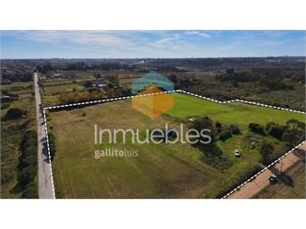 https://www.gallito.com.uy/venta-chacra-toledo-7-hectareas-inmuebles-27085306