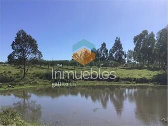 https://www.gallito.com.uy/exclusiva-chacra-con-olivares-en-ruta-39-inmuebles-27155974