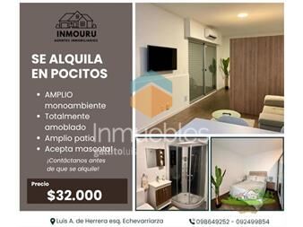 https://www.gallito.com.uy/se-alquila-apto-con-patio-en-pocitos-inmuebles-27522046