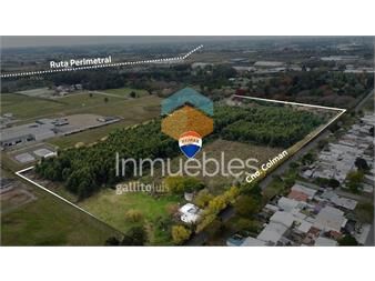 https://www.gallito.com.uy/venta-terreno-6-hectareas-sobre-camino-colman-inmuebles-27522226