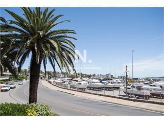 https://web5.gallito.com.uy/gran-oportunidad-de-venta-en-la-zona-del-puerto-inmuebles-24987231