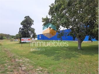 https://www.gallito.com.uy/ruta-84-km-12-7-hectareas-con-mejoras-inmuebles-24440743