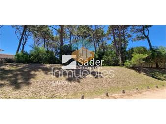 https://www.gallito.com.uy/pinar-del-faro-21-inmuebles-27523296
