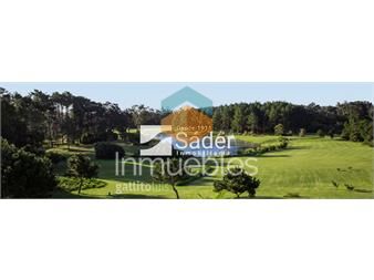 https://www.gallito.com.uy/lote-1416-m-en-veramansa-inmuebles-27523300