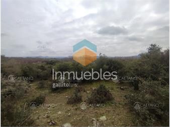 https://www.gallito.com.uy/venta-chacra-5-hectareas-ruta-12-maldonado-inmuebles-23224964