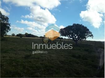 https://www.gallito.com.uy/campo-en-lascano-inmuebles-27529901