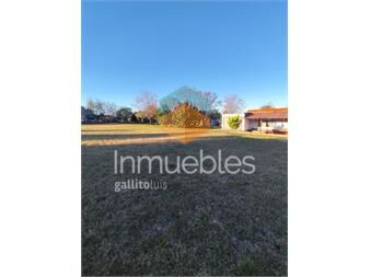 https://www.gallito.com.uy/terreno-en-venta-inmuebles-27535265