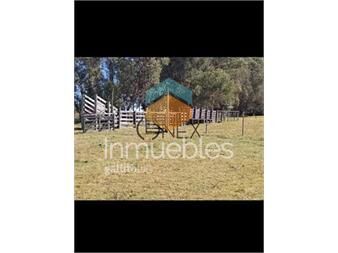 https://www.gallito.com.uy/venta-de-chacra-de-8-ha-con-casa-inmuebles-27535342