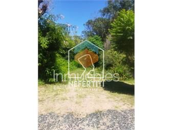 https://www.gallito.com.uy/venta-terreno-pueblo-arena-piriapolis-inmuebles-25043414