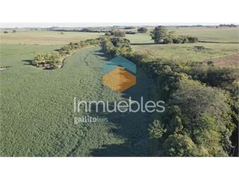https://web5.gallito.com.uy/campo-mixto-semilleros-colonia-inmuebles-27535536