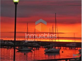 https://www.gallito.com.uy/excelente-opcion-en-alquiler-y-venta-primera-el-inmuebles-22537141