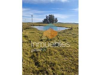 https://web5.gallito.com.uy/hermosa-chacra-de-5-ha-en-zanja-de-chavez-a-15-km-inmuebles-27485436