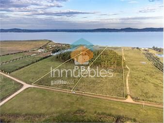 https://www.gallito.com.uy/chacras-en-venta-en-laguna-del-sauce-punta-ref-inmuebles-27535680