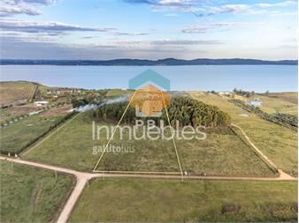 https://www.gallito.com.uy/chacra-en-venta-en-laguna-del-sauce-punta-ref-inmuebles-27535681